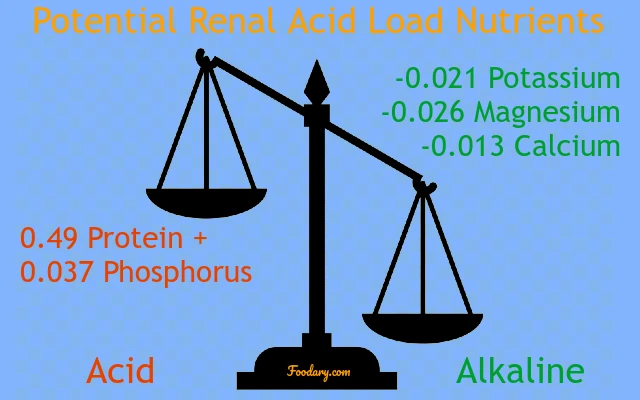 Potential Renal Acid Load Nutrients
