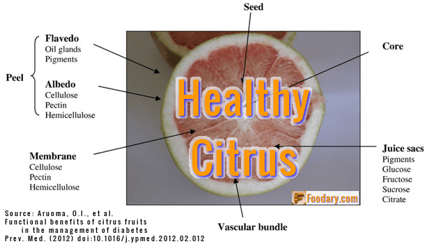 Healthy Citrus Infographic