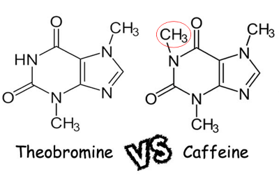 Theobromine Molecule