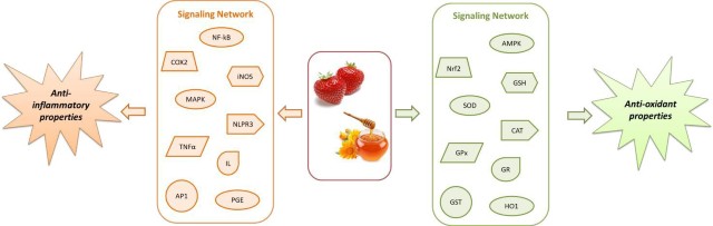 Collections of Strawberry & Honey Properties in Anti-inflammatory & Anti-oxidant Groups