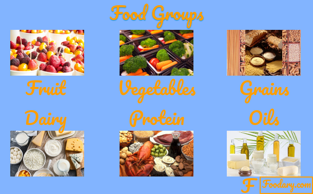 Food Groups For Dietary Patterns